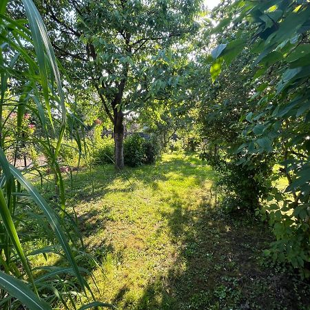 Apartament Wojska Polskiego 35 Βίλα Βαντοβίτσε Εξωτερικό φωτογραφία