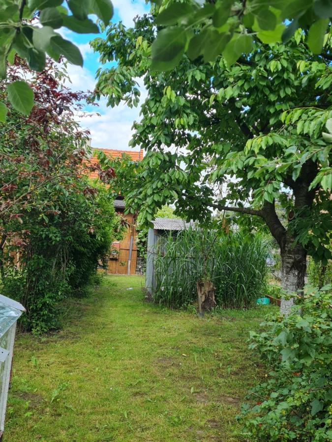 Apartament Wojska Polskiego 35 Βίλα Βαντοβίτσε Εξωτερικό φωτογραφία